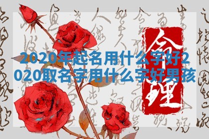 2020年起名用什么字好_2020取名字用什么字好男孩