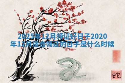 2025年12月领证好日子_2020年12月适合领证的日子是什么时候