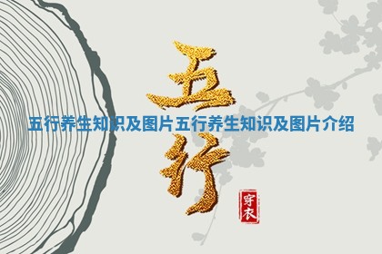 五行养生知识及图片_五行养生知识及图片介绍