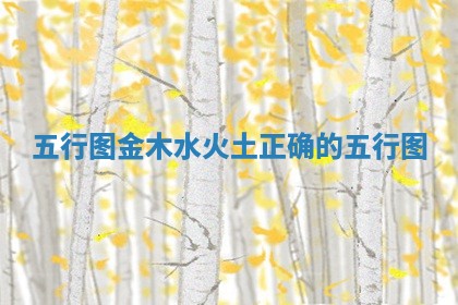 五行图金木水火土 正确的五行图