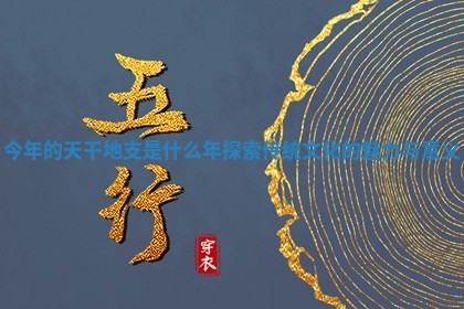 今年的天干地支是什么年探索传统文化的魅力与意义