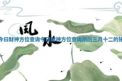 今曰财神方位查询_今曰财神方位查询阴历三月十二的猪