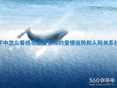 八字中怎么看桃花运提升你的爱情运势和人际关系技巧