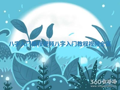 八字入门教程视频 八字入门教程视频全集