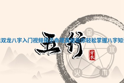 包双龙八字入门视频揭示命理奥秘助你轻松掌握八字知识