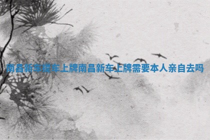 南昌新车提车上牌 南昌新车上牌需要本人亲自去吗