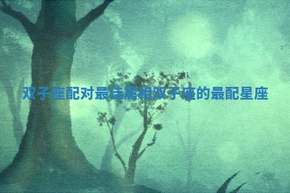 双子座配对最佳属相_双子座的最配星座