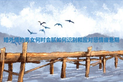 婚外情的男女何时会腻如何识别和应对感情疲惫期