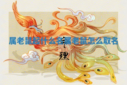 属老鼠起什么名 属老鼠怎么取名