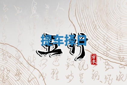 提车择日 