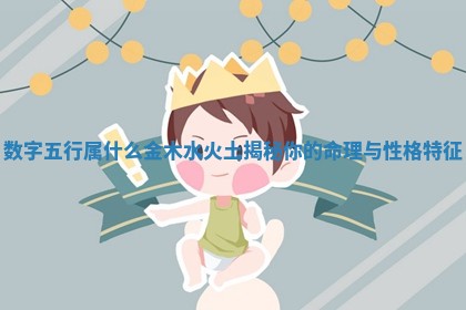 数字五行属什么金木水火土揭秘你的命理与性格特征