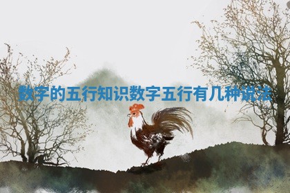 数字的五行知识_数字五行有几种说法