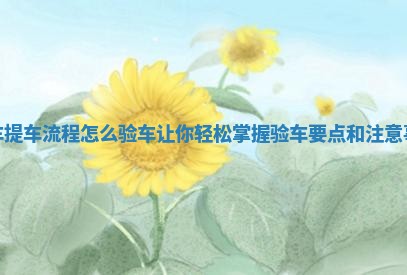 新车提车流程怎么验车 让你轻松掌握验车要点和注意事项