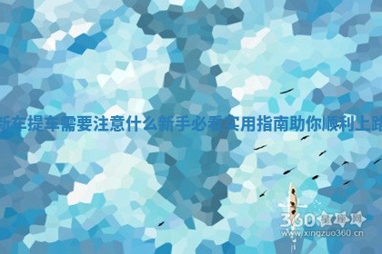 新车提车需要注意什么新手必看实用指南助你顺利上路