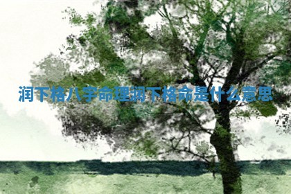 润下格八字命理 润下格命是什么意思