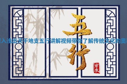 深入浅出天干地支五行讲解视频带你了解传统文化的奥秘