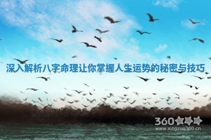 深入解析八字命理让你掌握人生运势的秘密与技巧