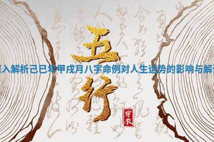 深入解析己巳年甲戌月八字命例对人生运势的影响与解读