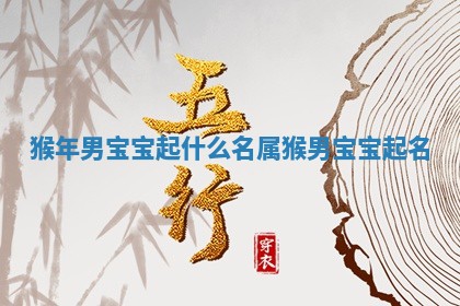 猴年男宝宝起什么名 属猴男宝宝起名