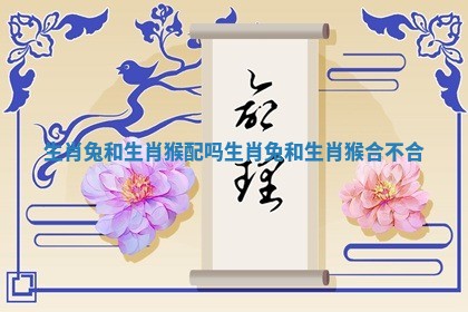 生肖兔和生肖猴配吗_生肖兔和生肖猴合不合