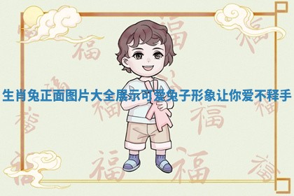 生肖兔正面图片大全展示可爱兔子形象让你爱不释手