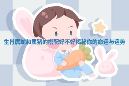 生肖属蛇和属猪的搭配好不好揭秘你的命运与运势