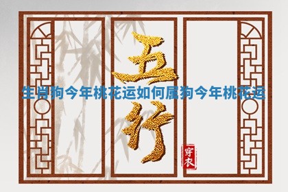 生肖狗今年桃花运如何 属狗今年桃花运