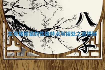 生肖猪和鼠的性格特点与相处之道揭秘