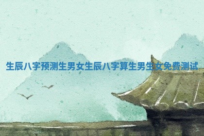 生辰八字预测生男女_生辰八字算生男生女免费测试