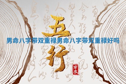 男命八字带双重禄 男命八字带双重禄好吗