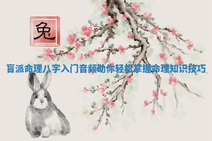 盲派命理八字入门音频助你轻松掌握命理知识技巧