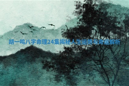 胡一鸣八字命理24集揭秘人生运势与命运解析
