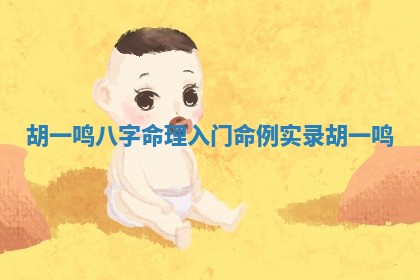 胡一鸣八字命理入门 命例实录 胡一鸣