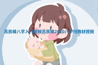 苏民峰八字入门视频_苏民峰2010八字班教材视频