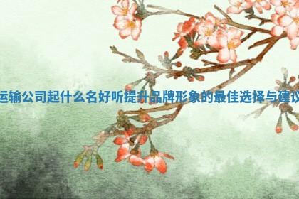 运输公司起什么名好听提升品牌形象的最佳选择与建议