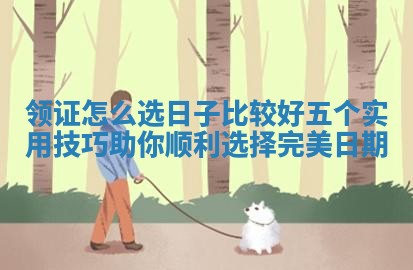 领证怎么选日子比较好五个实用技巧助你顺利选择完美日期