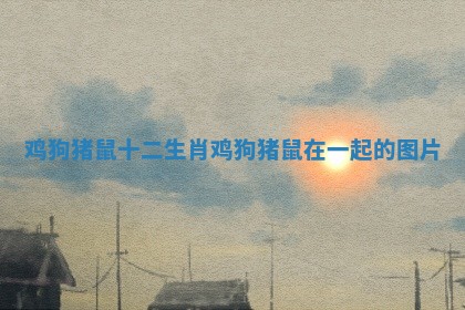 鸡狗猪鼠 十二生肖_鸡狗猪鼠在一起的图片