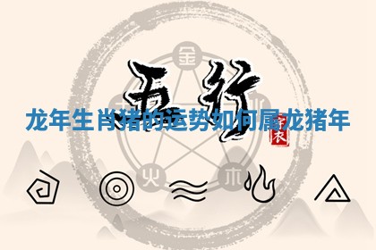 龙年生肖猪的运势如何_属龙猪年